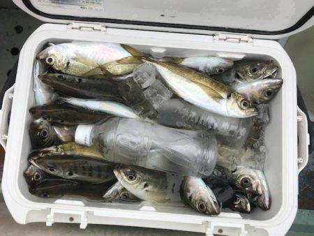 深川 吉野屋 釣果