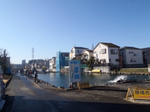 朝霞ガーデン 釣果