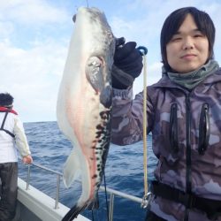 Aquanaut(アクアノート) 釣果