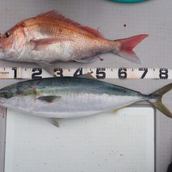 Aquanaut(アクアノート) 釣果