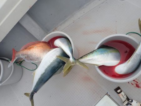 Aquanaut(アクアノート) 釣果