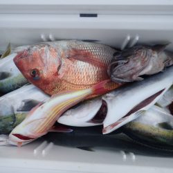 Aquanaut(アクアノート) 釣果