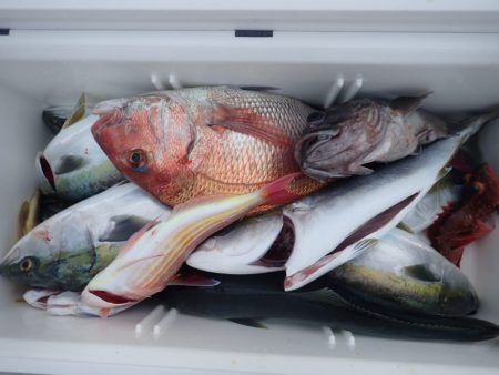 Aquanaut(アクアノート) 釣果