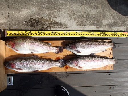 志高湖フィッシング 釣果