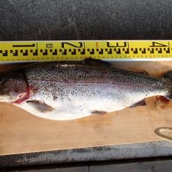 志高湖フィッシング 釣果