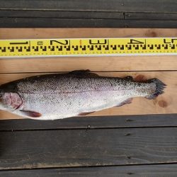 志高湖フィッシング 釣果