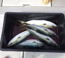 えすぽあ 釣果