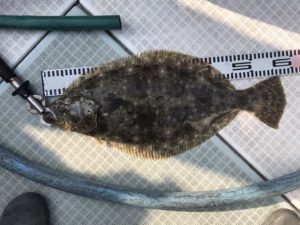 さぶろう丸 釣果