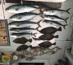 さぶろう丸 釣果