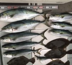 さぶろう丸 釣果