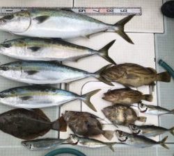 さぶろう丸 釣果