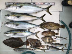 さぶろう丸 釣果