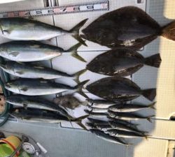 さぶろう丸 釣果