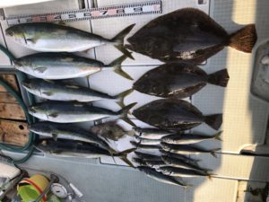 さぶろう丸 釣果