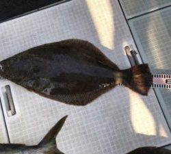 さぶろう丸 釣果