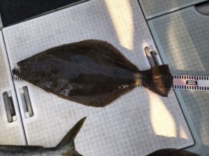 さぶろう丸 釣果