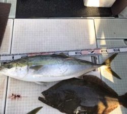 さぶろう丸 釣果