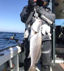 さぶろう丸 釣果