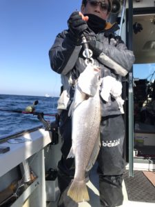 さぶろう丸 釣果