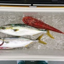 火遠理丸(ほおりまる) 釣果
