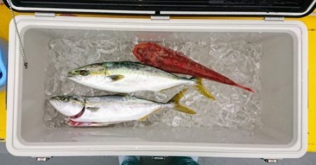 火遠理丸(ほおりまる) 釣果