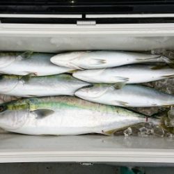 火遠理丸(ほおりまる) 釣果