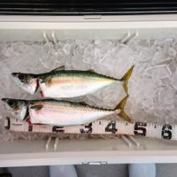 火遠理丸(ほおりまる) 釣果