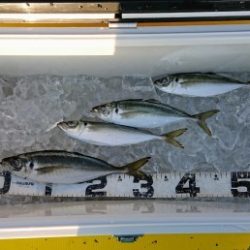 火遠理丸(ほおりまる) 釣果