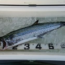 火遠理丸(ほおりまる) 釣果