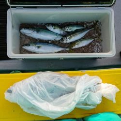 火遠理丸(ほおりまる) 釣果