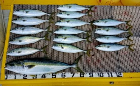 火遠理丸(ほおりまる) 釣果