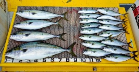 火遠理丸(ほおりまる) 釣果