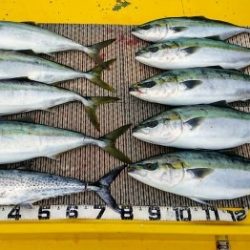 火遠理丸(ほおりまる) 釣果