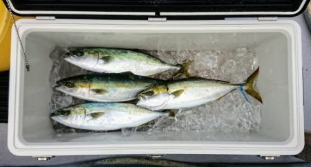 火遠理丸(ほおりまる) 釣果