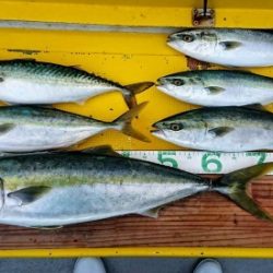 火遠理丸(ほおりまる) 釣果