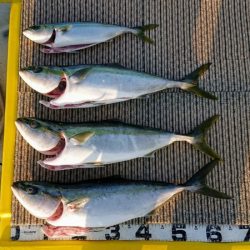 火遠理丸（ほおりまる） 釣果