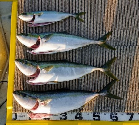 火遠理丸（ほおりまる） 釣果