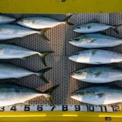 火遠理丸（ほおりまる） 釣果