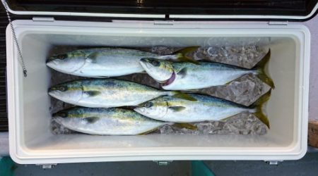 火遠理丸(ほおりまる) 釣果