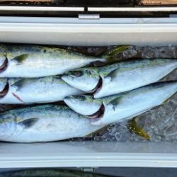 火遠理丸(ほおりまる) 釣果