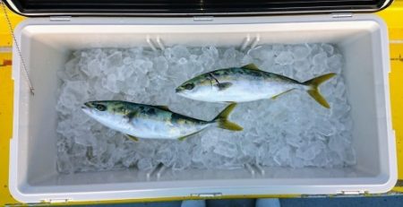 火遠理丸(ほおりまる) 釣果