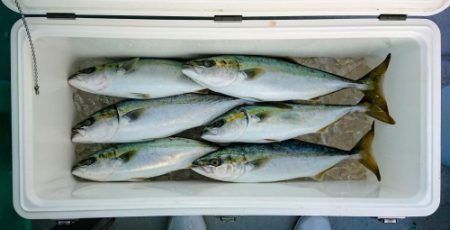 火遠理丸(ほおりまる) 釣果