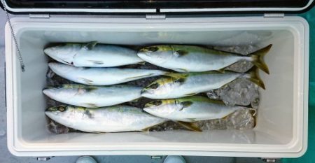 火遠理丸(ほおりまる) 釣果