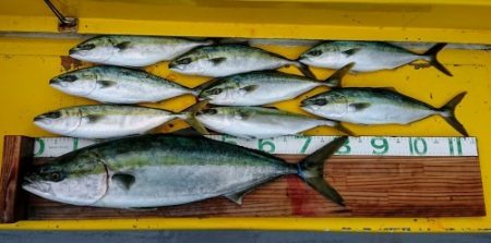 火遠理丸(ほおりまる) 釣果