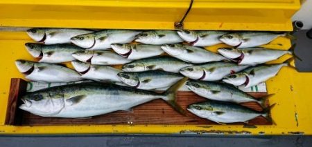 火遠理丸(ほおりまる) 釣果