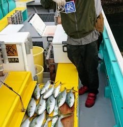 火遠理丸(ほおりまる) 釣果