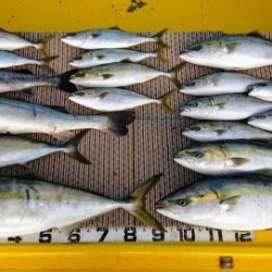 火遠理丸(ほおりまる) 釣果