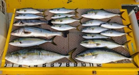 火遠理丸(ほおりまる) 釣果