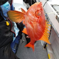 第二大福丸 釣果