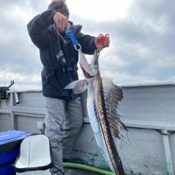たいし丸 釣果